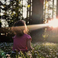 221109_Umwelt 221109_Umwelt